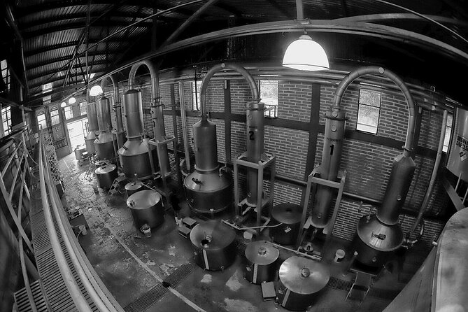 Sip & Savor Tequila Experience Distillery w/ Lunch fr Guadalajara - Lunch underground at La Taberna del Cofrade