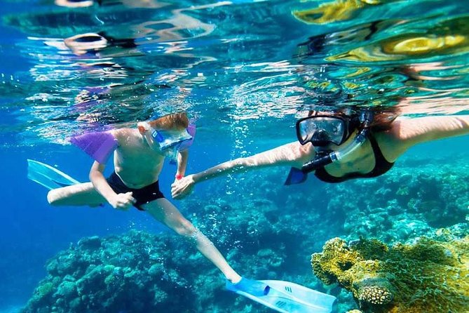 SkyReef Cozumel Snorkel & Tequila Tasting - What Your 4 to 6 Hours Look Like