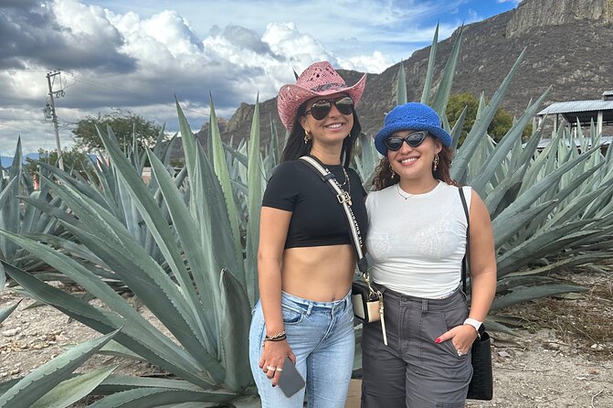 Small Group Boerve del Agua and Mezcal Tour from Oaxaca Centro - Hierve el Agua, the reason to choose this outing