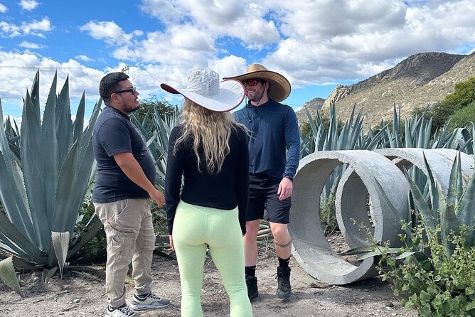 Small Group Boerve del Agua and Mezcal Tour from Oaxaca Centro - Lunch in Mitla, traditional food at your own cost