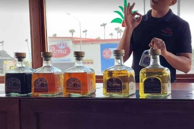 Tacos, Tequila, Cerveza - A Private Tour of Ensenada - City views, landmarks, and local stops