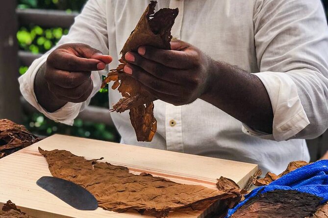 Taste of Mexico: Rolling Cigar & Tequila Experience with transfer - Who should book this Cozumel experience?