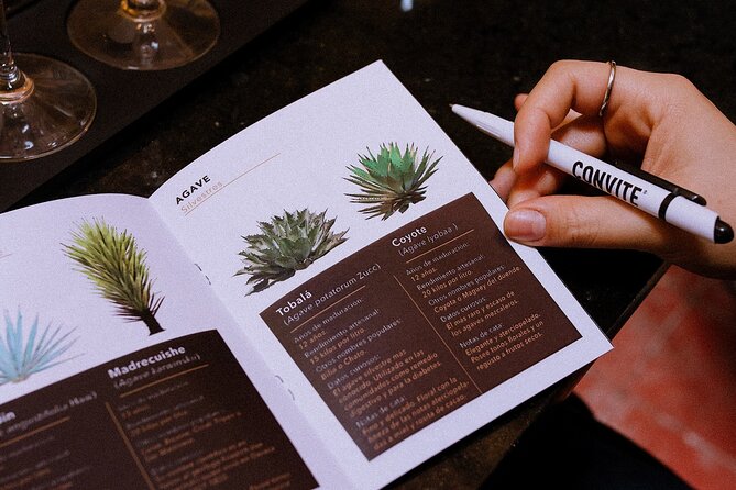 Tasting of Mezcal with the best selling brand in Oaxaca - What happens inside Casa Convite