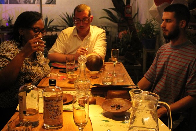 Tasting of Organic Mezcales - Agave, Production, and the People Behind the Bottle
