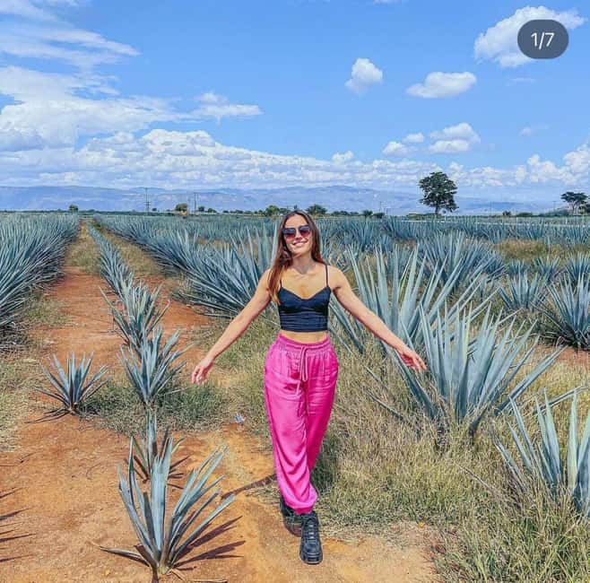 Tequila and Cantaritos Tour from Guadalajara - Why this Tequila day works from Guadalajara