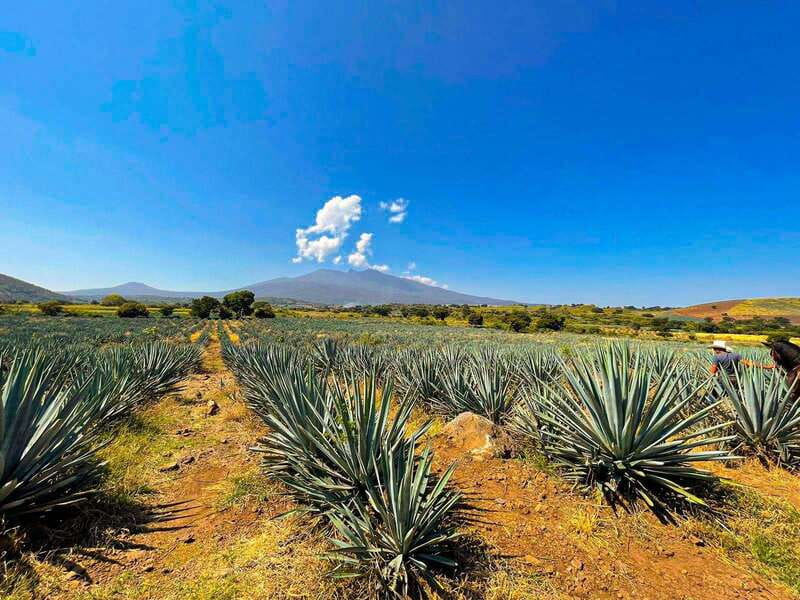 Tequila and Cantaritos Tour from Guadalajara - Tequila town, the giant swing, and photo time