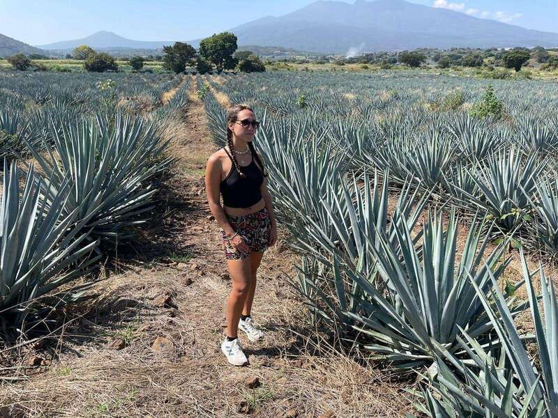 Tequila and Cantaritos Tour from Guadalajara - The 50-minute ride into blue agave country
