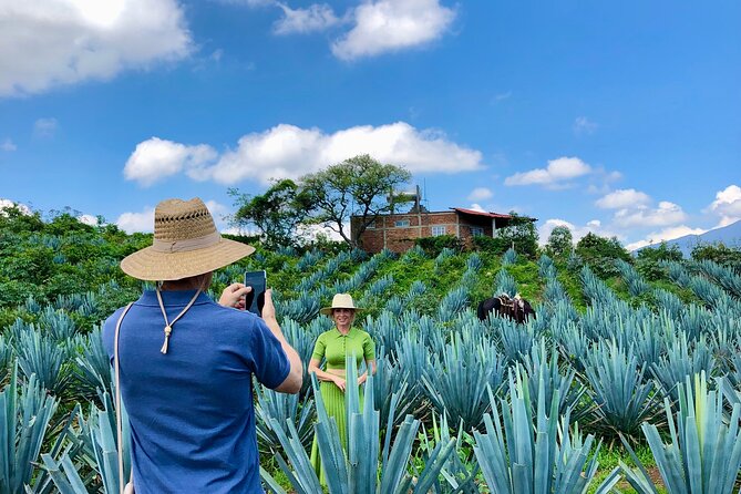 Tequila and Guachimontones Private Full Day Tour - Guachimontones and the circular pyramids