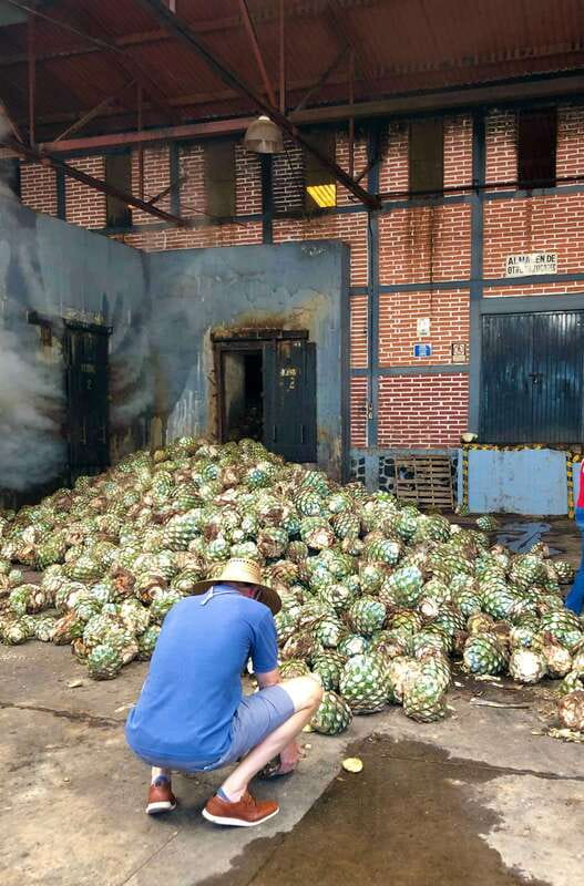 Tequila and Guachimontones: Private Full Day Tour - FAQ