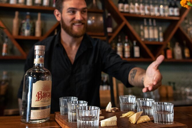 Tequila and Mezcal Tasting in Tulum with Cheese Pairing - Six glasses that tell a Mexican story
