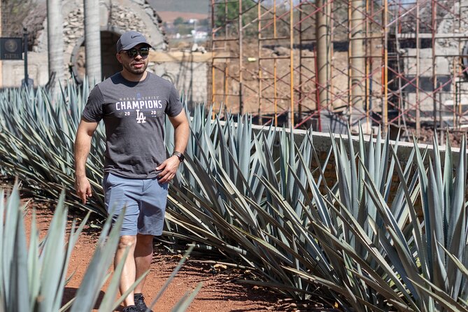 Tequila Day Trip - Why this Guadalajara tequila trip works