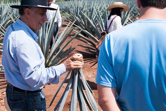 Tequila distillery experience, Jose Cuervo & Tequila Magic Town - The ride, group size, and real timing