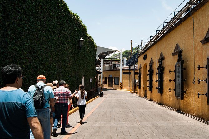 Tequila distillery experience, Jose Cuervo & Tequila Magic Town - Is the $79.80 price good value?