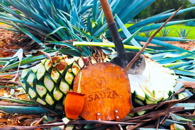 Tequila Express - Key points to know before booking