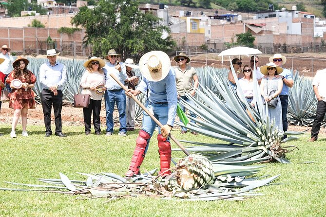 Tequila Express Round Trip by Train - Why the train ride makes this tequila day different