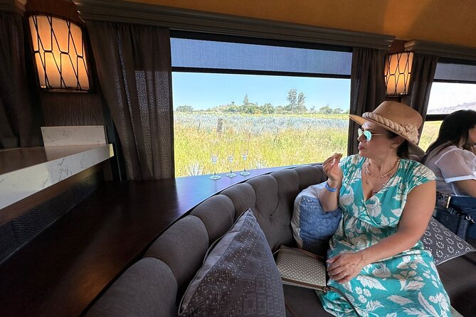 Tequila Express Round Trip by Train - Tequila town and its local character