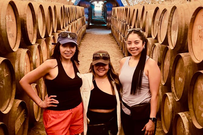 Tequila/Guachimontones route cultural heritage in private - Walking through agave country at Tequila Tres Mujeres