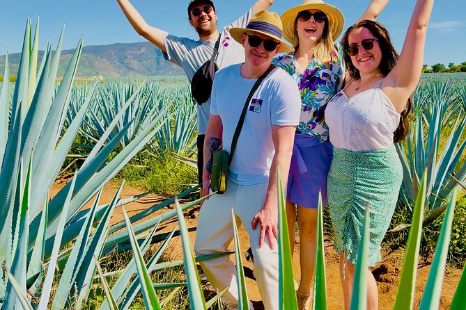 Tequila/Guachimontones Tour-cultural heritage route - Why this day trip works so well