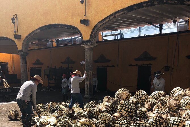 Tequila Jalisco Full Day Tour from Puerto Vallarta - Inside El Tequileño and La Guarraña distillery
