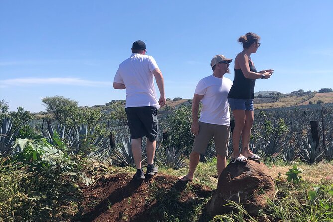 Tequila Jalisco Full Day Tour from Puerto Vallarta - The UNESCO agave country photo stop