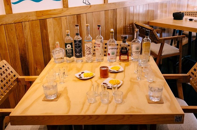 Tequila & Mezcal Tasting - Agave Masterclass In San José del Cabo - Who will enjoy this San José del Cabo class