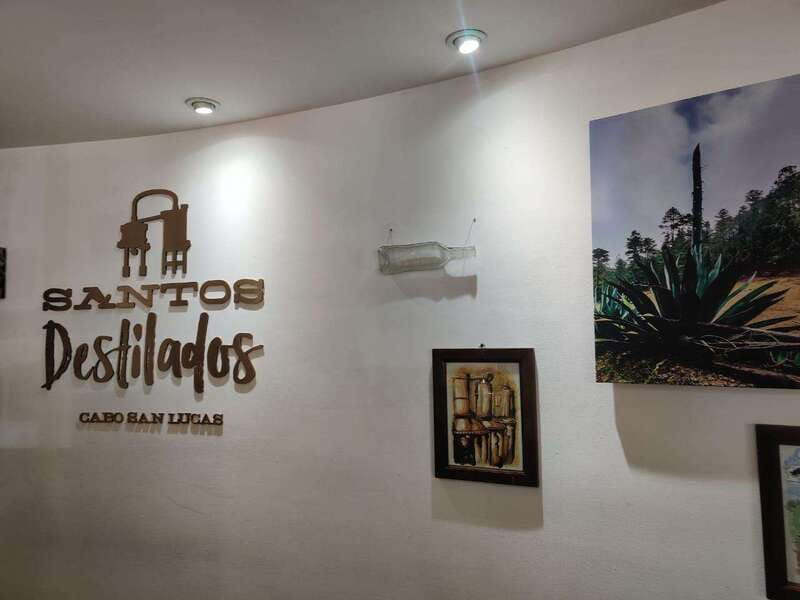 Tequila & Mezcal Tasting Experience - Should you book the Santos Destilados tasting?