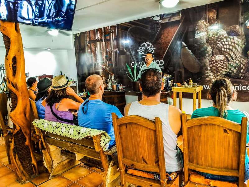 Tequila & Mezcal Tasting Experience - A guided introduction before the first shot