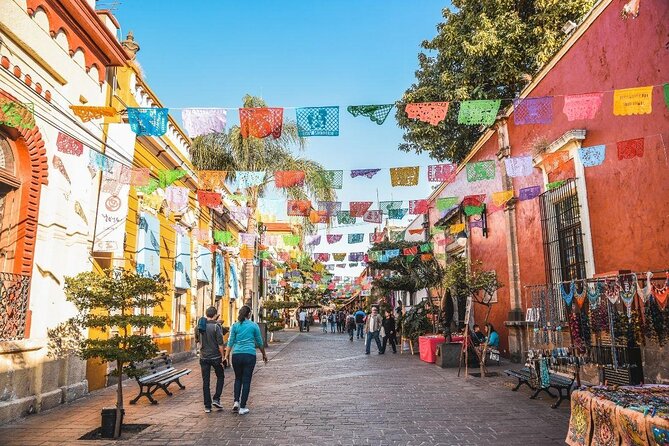 Tequila Premium Tour Destination Agave - Key points to know before you book