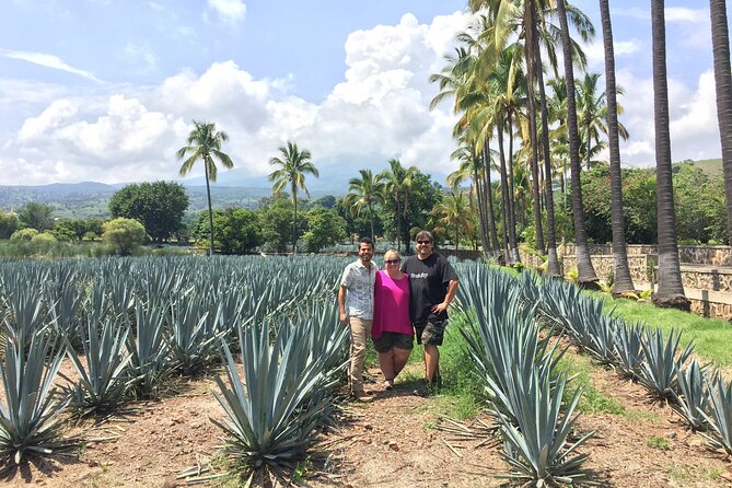 Tequila: Private Half-Day Tour - Timing, pickup, and who should choose it