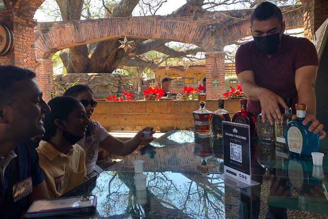 Tequila: Private Half-Day Tour - Should you book this Tequila day trip?