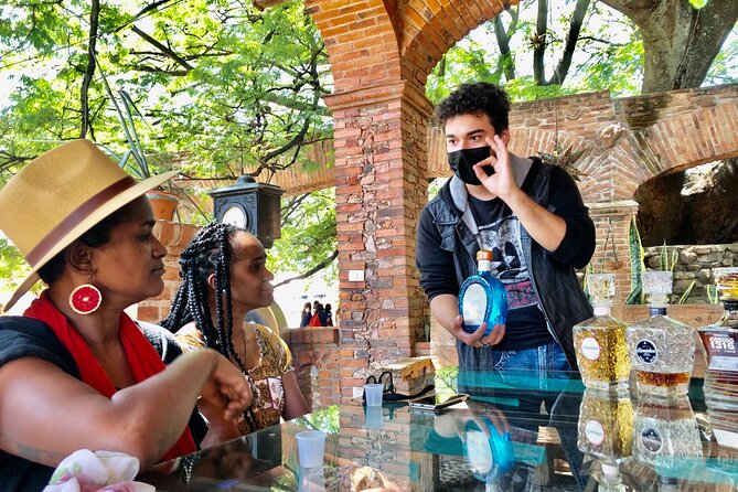 Tequila: Private Half-Day Tour - The agave fields and the Tequila Volcano view