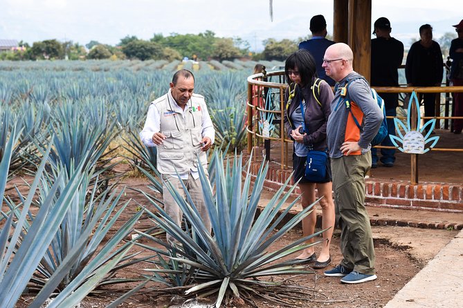 Tequila Route Experience from Guadalajara - El Arenal, the first village on the route