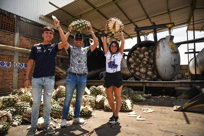 Tequila Route Experience from Guadalajara - Tequila town, with time to set your own pace