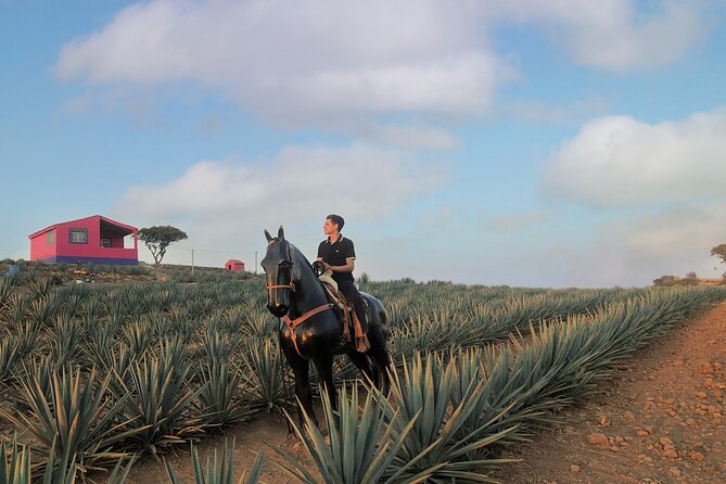Tequila tour with tasting. - Who Will Enjoy This Outing Most