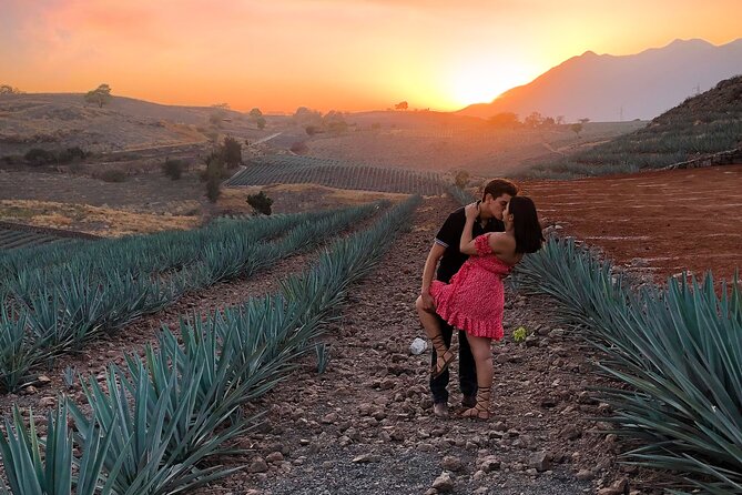 Tequila tour with tasting. - Blue Paradise for Views and Included Rides