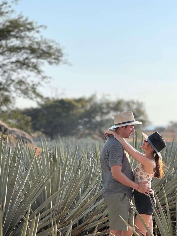 Tequila: Town and Distillery Guided Tour with Tastings - What the $87 price covers