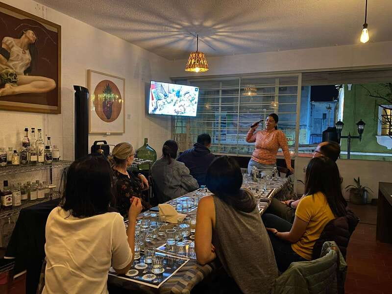The Best Mezcal Tasting, Mezcal Tasting in Oaxaca - What the Strongest Praise Tells You