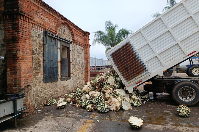 The Fire TOUR - Pyramids, Volcanoes, Agaves & Tequila - Tequila town, cobblestones and a flexible hour