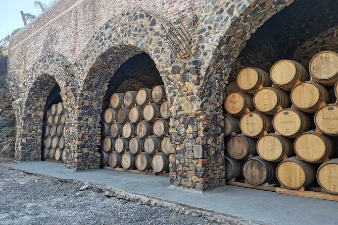 The Fire TOUR - Pyramids, Volcanoes, Agaves & Tequila - The guides and the small-group format