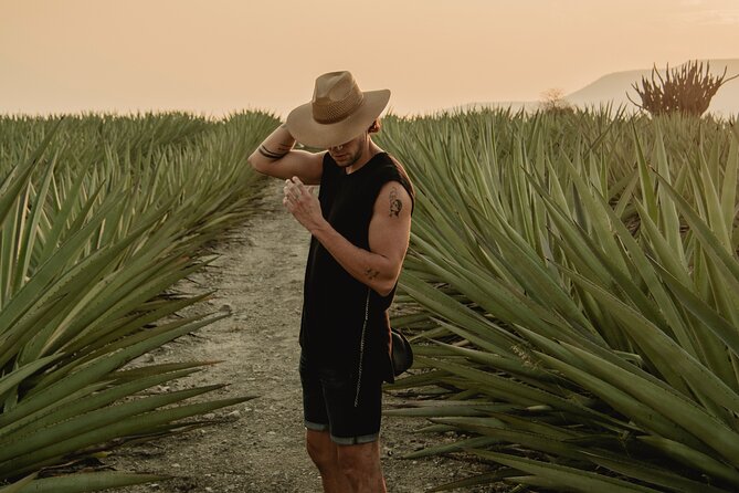 The Mezcal Journey - From Agave Field to Finished Mezcal