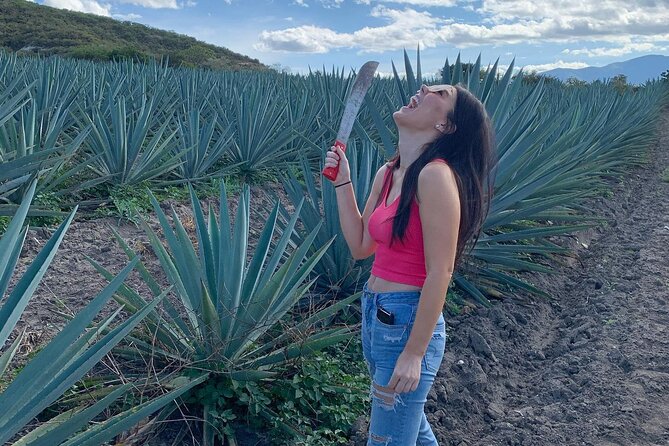 The Mezcal Journey - Is $105.51 a Fair Price?