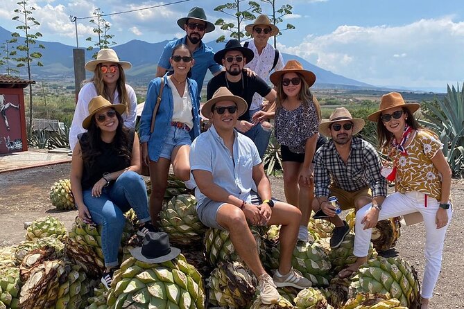 The Mezcal Journey - Campo Enigma and the agave fields