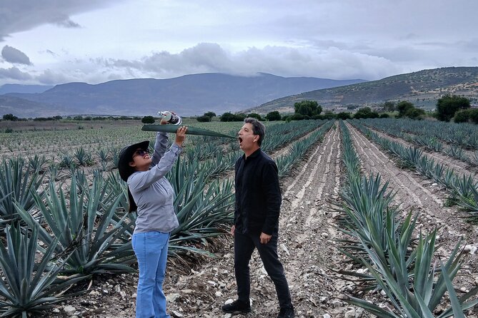 The Mezcal Tour - Starting with the giant Tule Tree