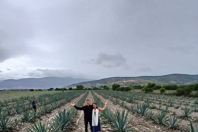 The Mezcal Tour - The barrel-mobile through agave fields