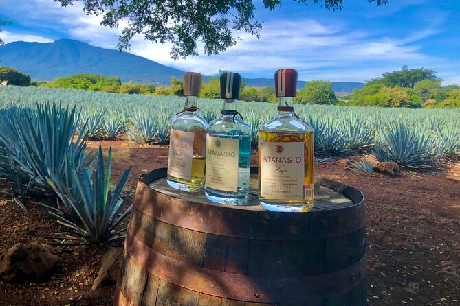 The Ultimate Tequila Experience: from Agave Field to Glass - Breakfast with farmers, then tequila among the plants