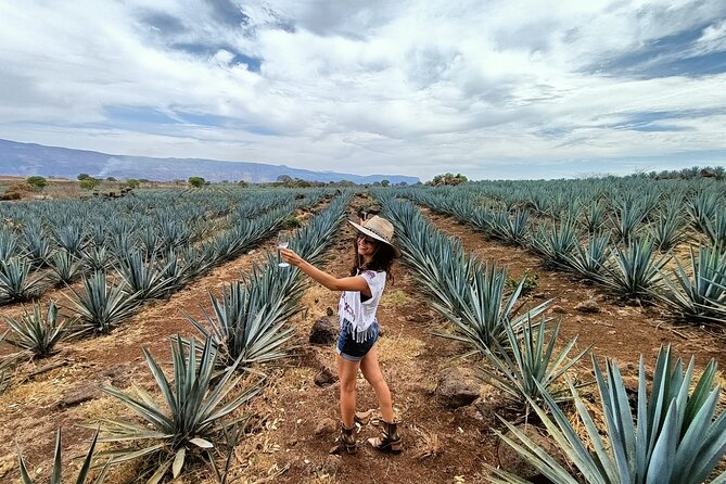 The Ultimate Tequila Experience: from Agave Field to Glass - Inside El Tequileño after nearly 70 years