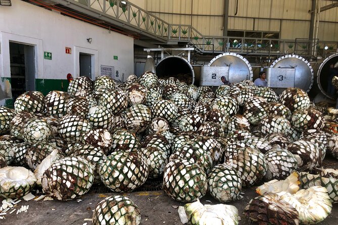 The Ultimate Tequila Experience: from Agave Field to Glass - Lunch at Casa Salles and the final cantarito