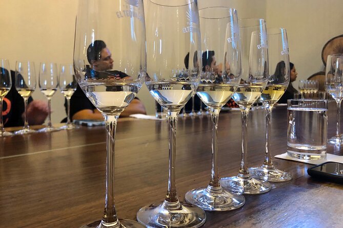 The Ultimate Tequila Experience: from Agave Field to Glass - Getting your hands dirty in the agave fields