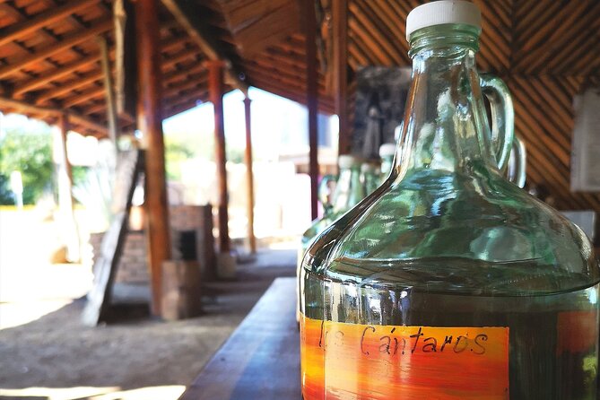 Tour Los Caminos del Mezcal Café and Pedal Loom Factory - Key Points to Know Before You Book