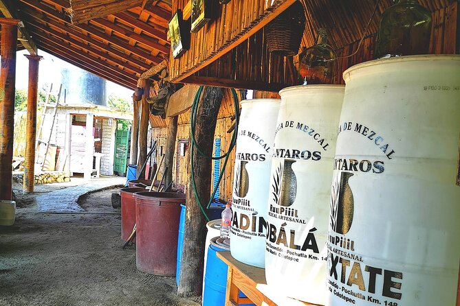 Tour Los Caminos del Mezcal Café and Pedal Loom Factory - From Maguey Plant to Mezcal Bottle